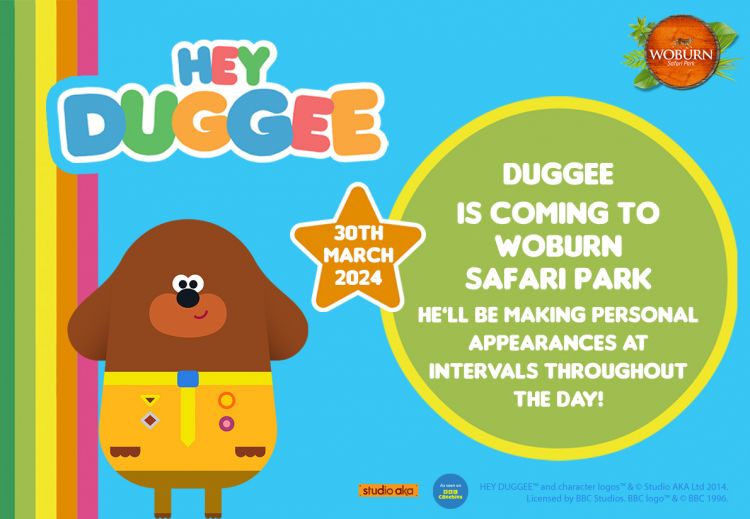 Hey Duggee - Instructions for watching Omelette Badge tomorrow: 1