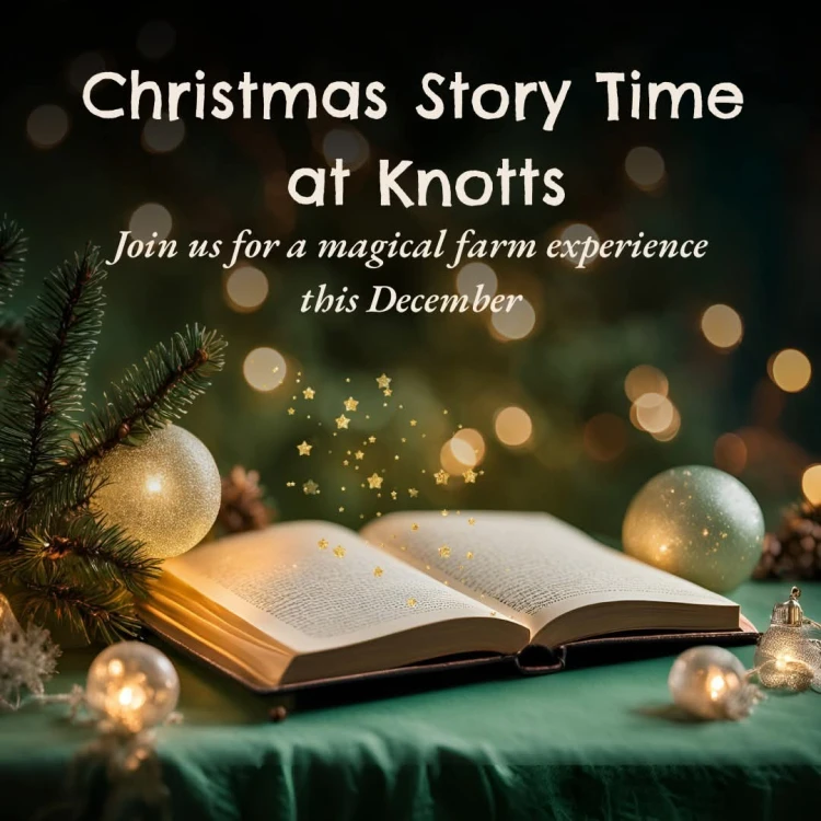 Knotts Festive Story Time