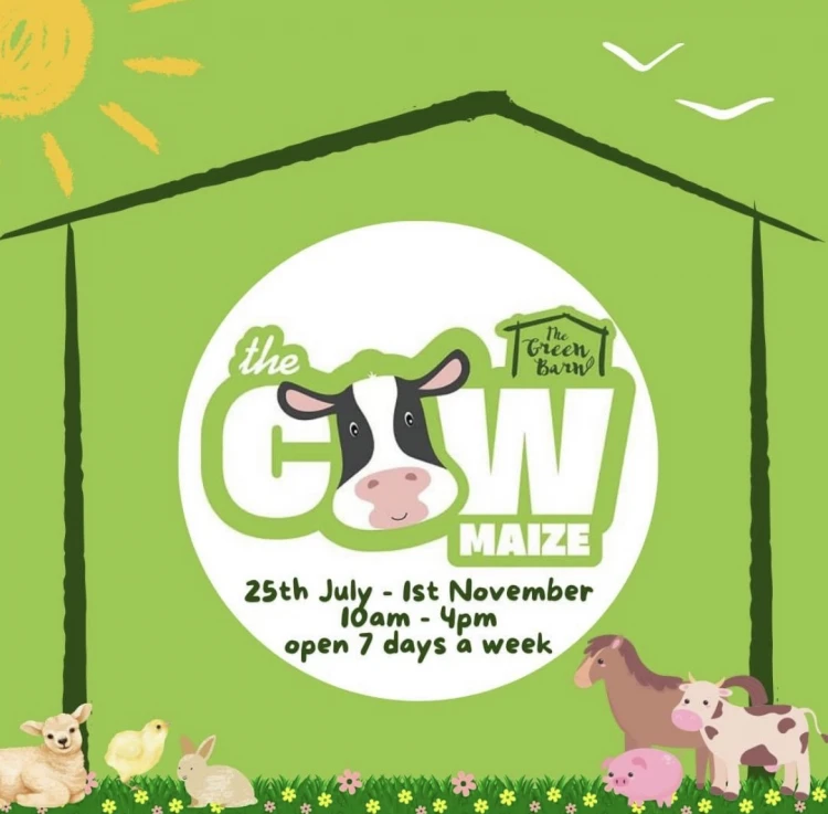 The Cow Maize