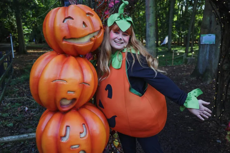 Halloween Special at Audley End Miniature Railway