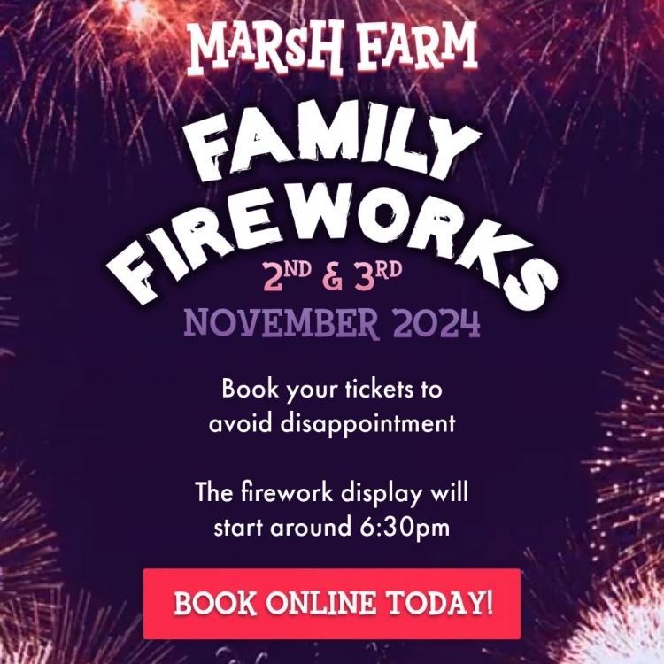 Magical Evening of Fireworks at Marsh Farm