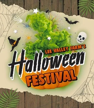 Halloween Festival