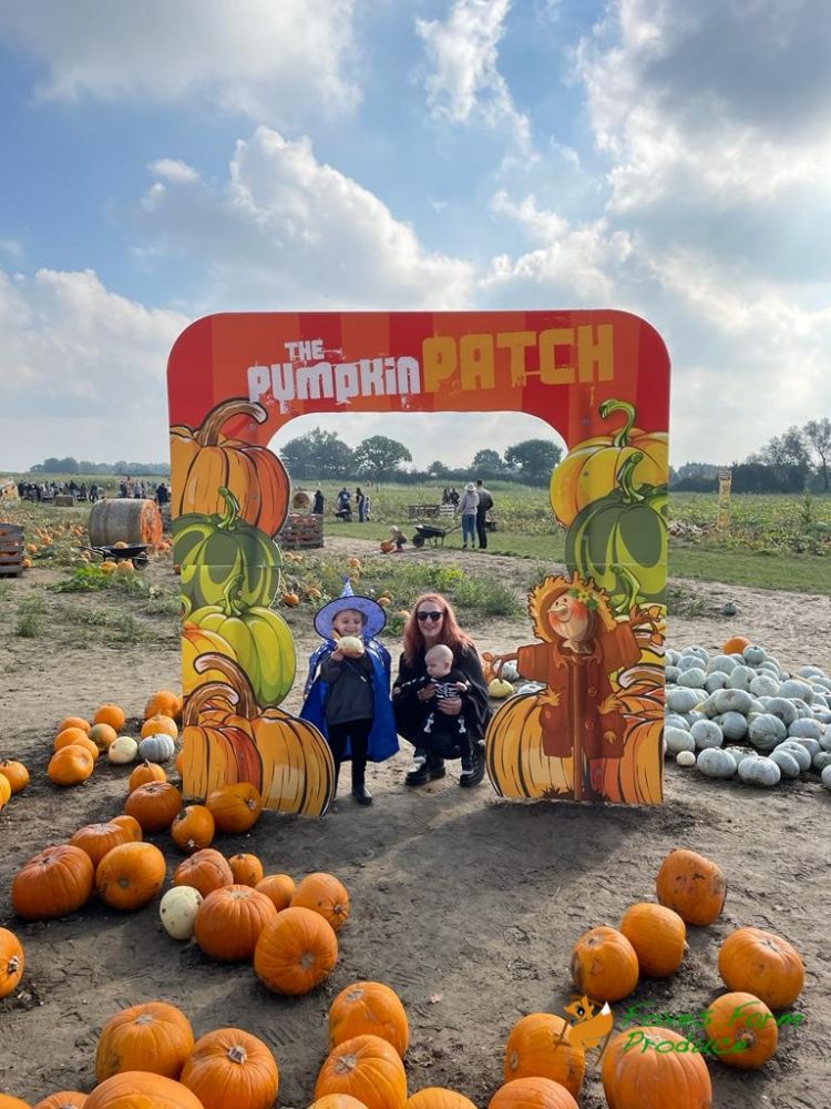 The Pumpkin Patch Colchester