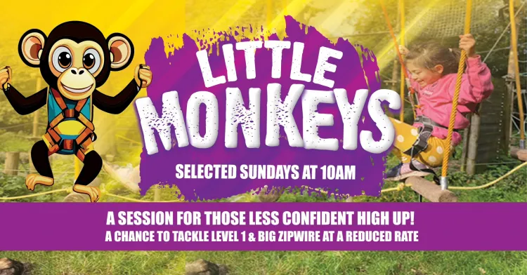 Little Monkeys - at Nuclear High Ropes