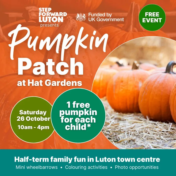 Pumpkin Patch at Hat Gardens