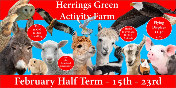 Half Term at Herrings Green Activity Farm