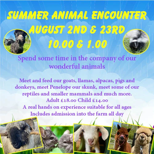 Summer Animal Encounter