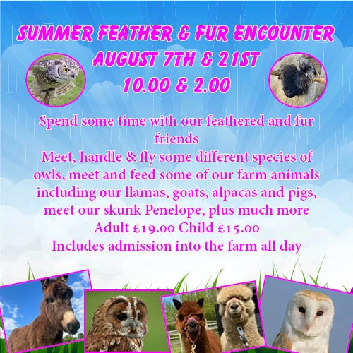 Summer Feather & Fur Experience