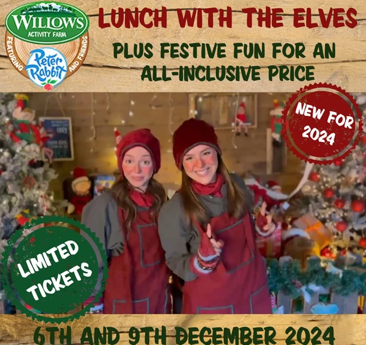 Lunch with Elves