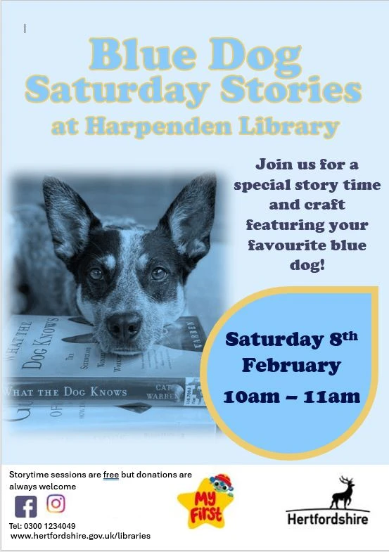 Blue Dog Saturday Stories