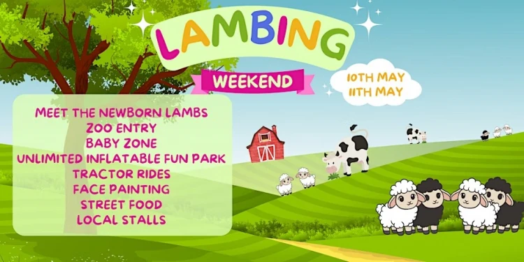 Lambing Weekend