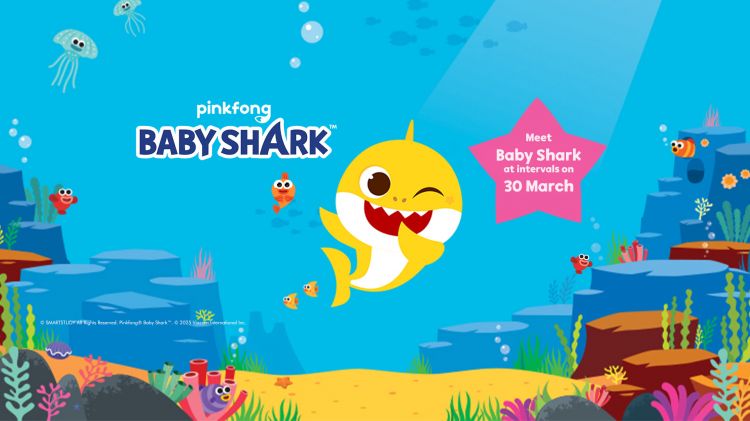 Meet Baby Shark on 30th March 