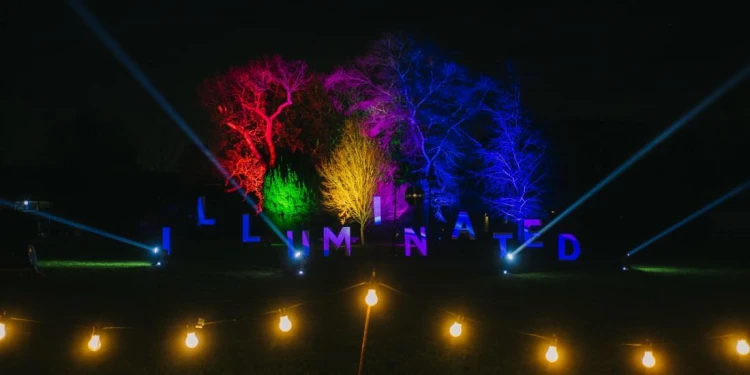 Stockwood Illuminated Trail 2024