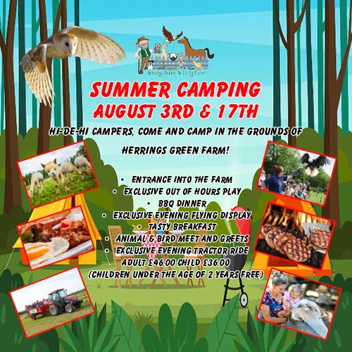 Summer Camping at Herrings Green