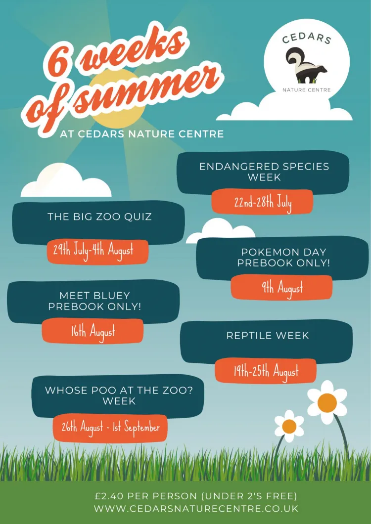 6 weeks of Summer at Cedars Nature Centre 