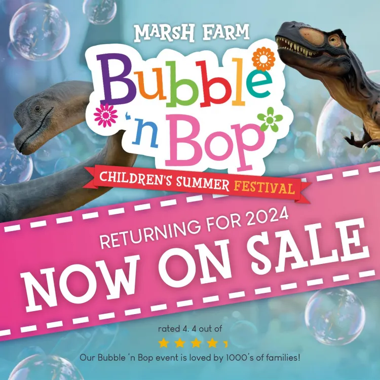 Bubble 'n' Bop Children's Festival at Marsh Farm