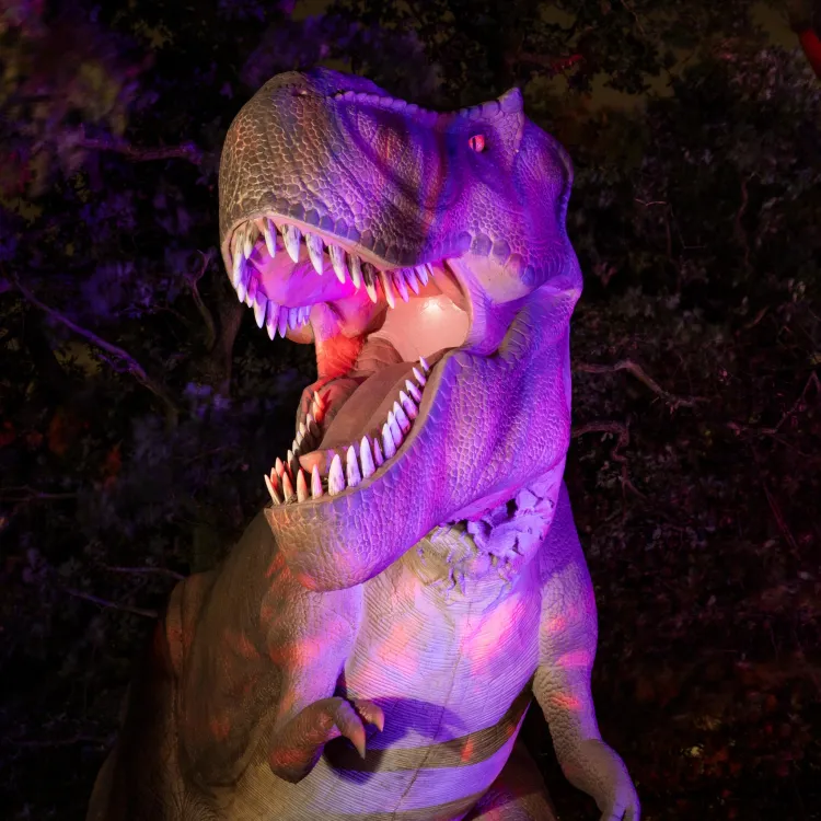 Dinos After Dark