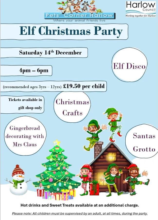 Elf Christmas Party at Pets Corner