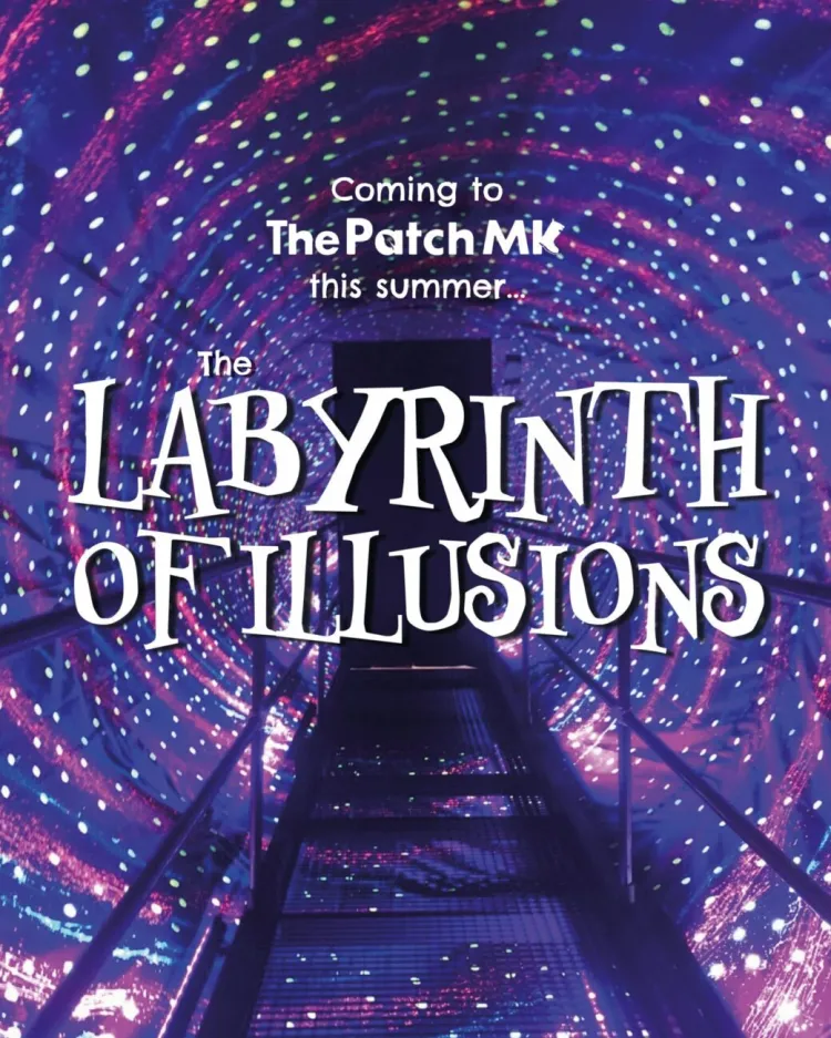 The Labyrinth of Illusions