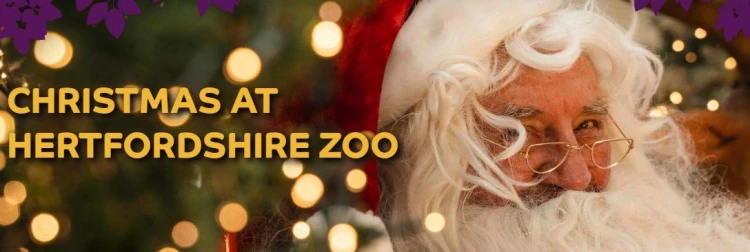 herts zoo christmas