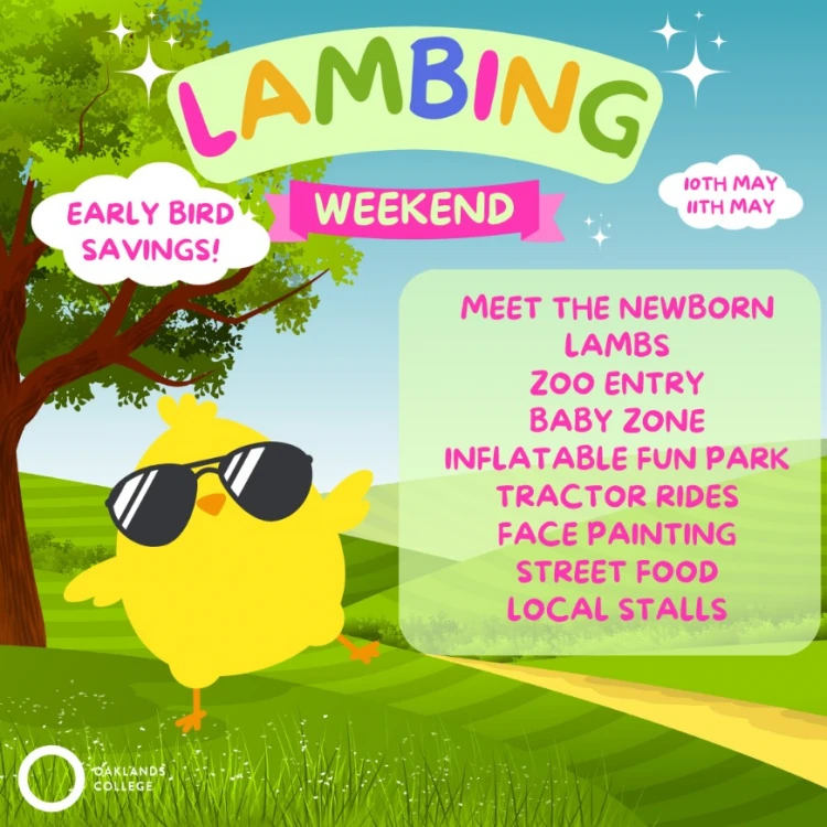 Lambing Weekend