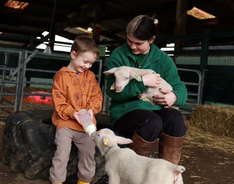 Lamb Bottle Feeding