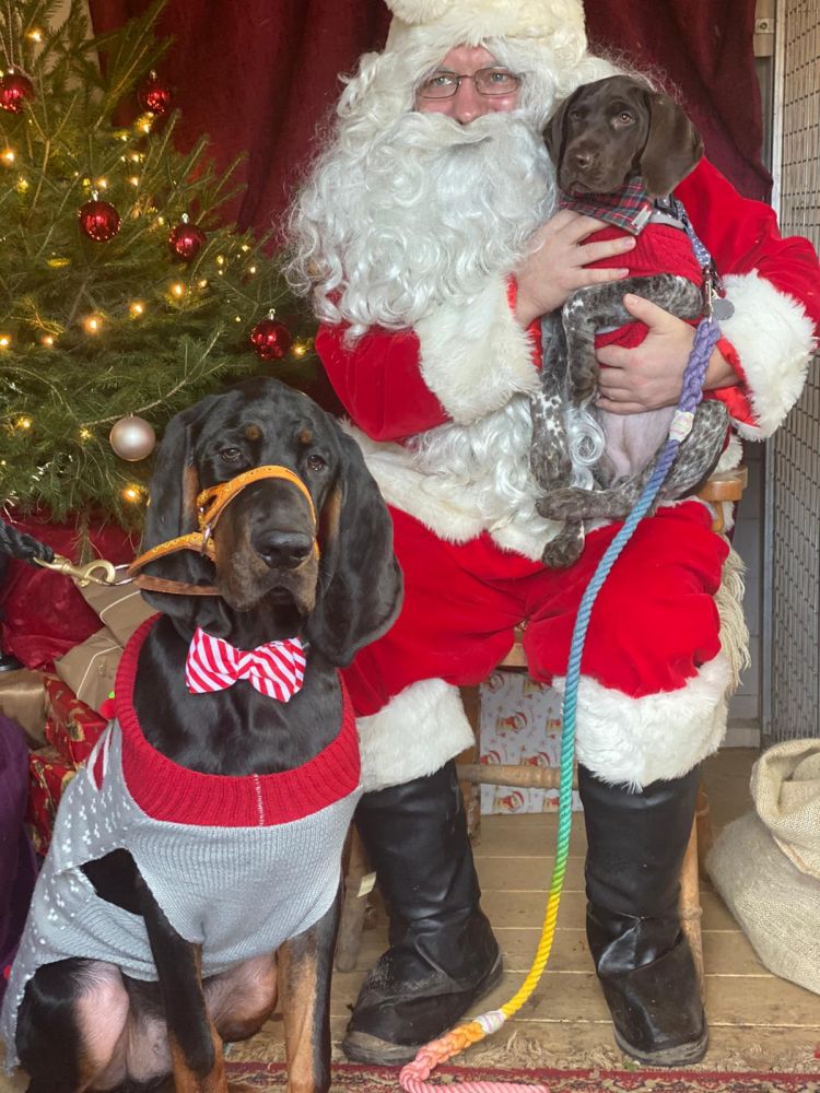 Church Farm Ardeley Santa Paws