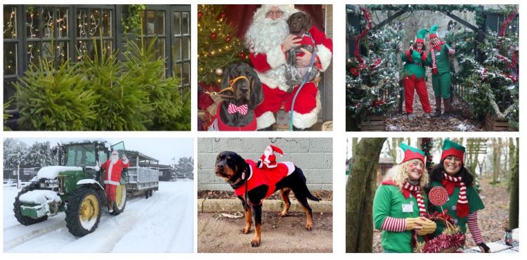 Church Farm Ardeley Father Christmas
