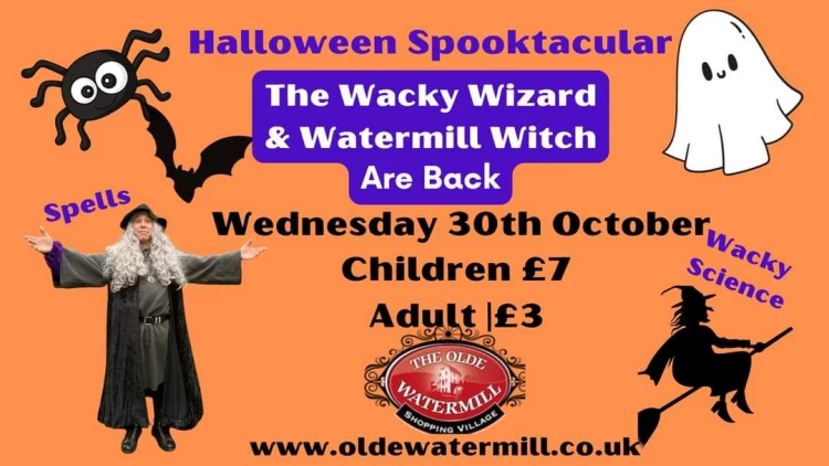 The Wacky Wizard & Watermill Witch