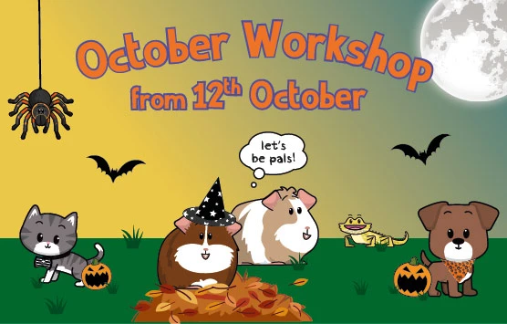 pet pals workshop oct 2024