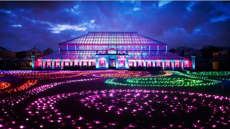 kew gardens xmas 2024