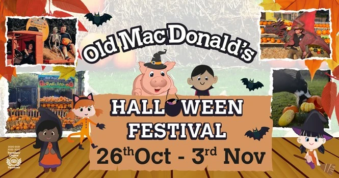 Halloween Festival 2024