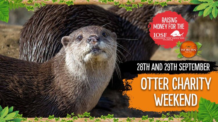 Otter Charity Weekend 28th-29th September