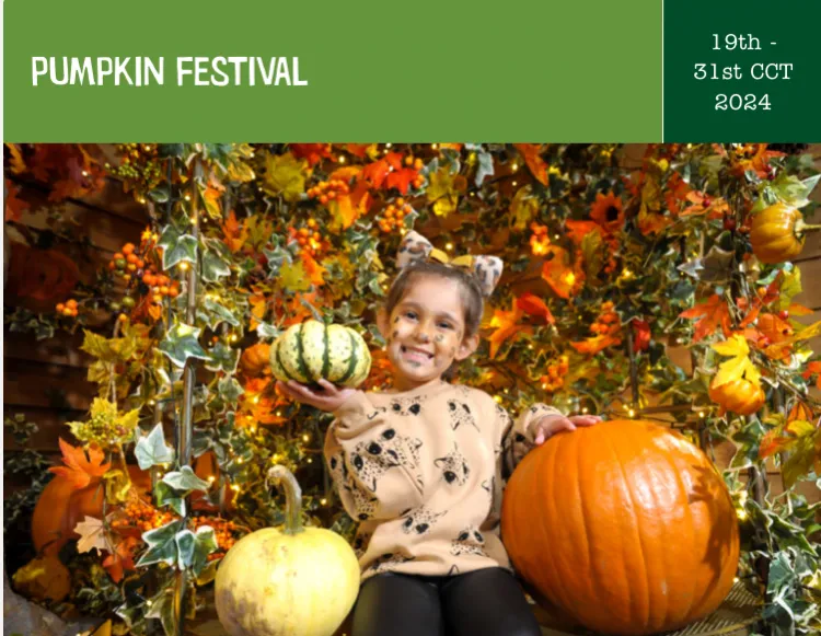 Pumpkin Festival